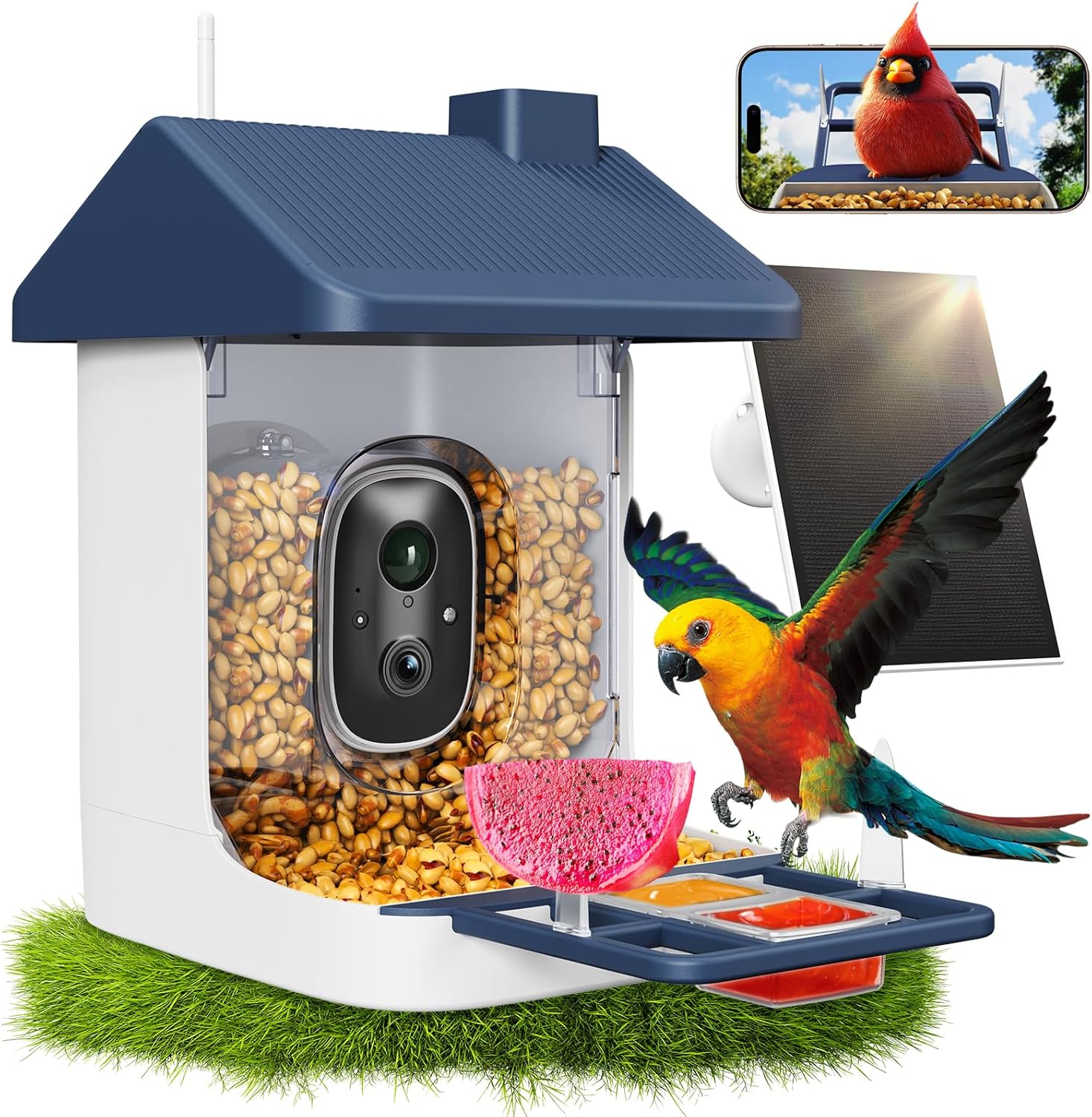 Watch Es - Solar-Powered Smart Bird Feeder with 2K