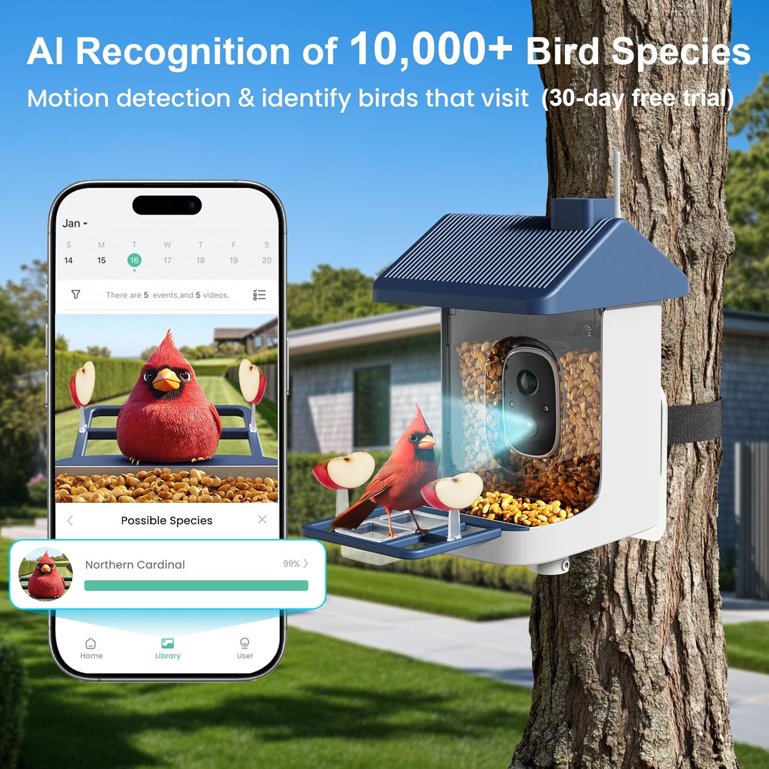 Solar-Powered Smart Bird Feede - Watch Es avis et prix