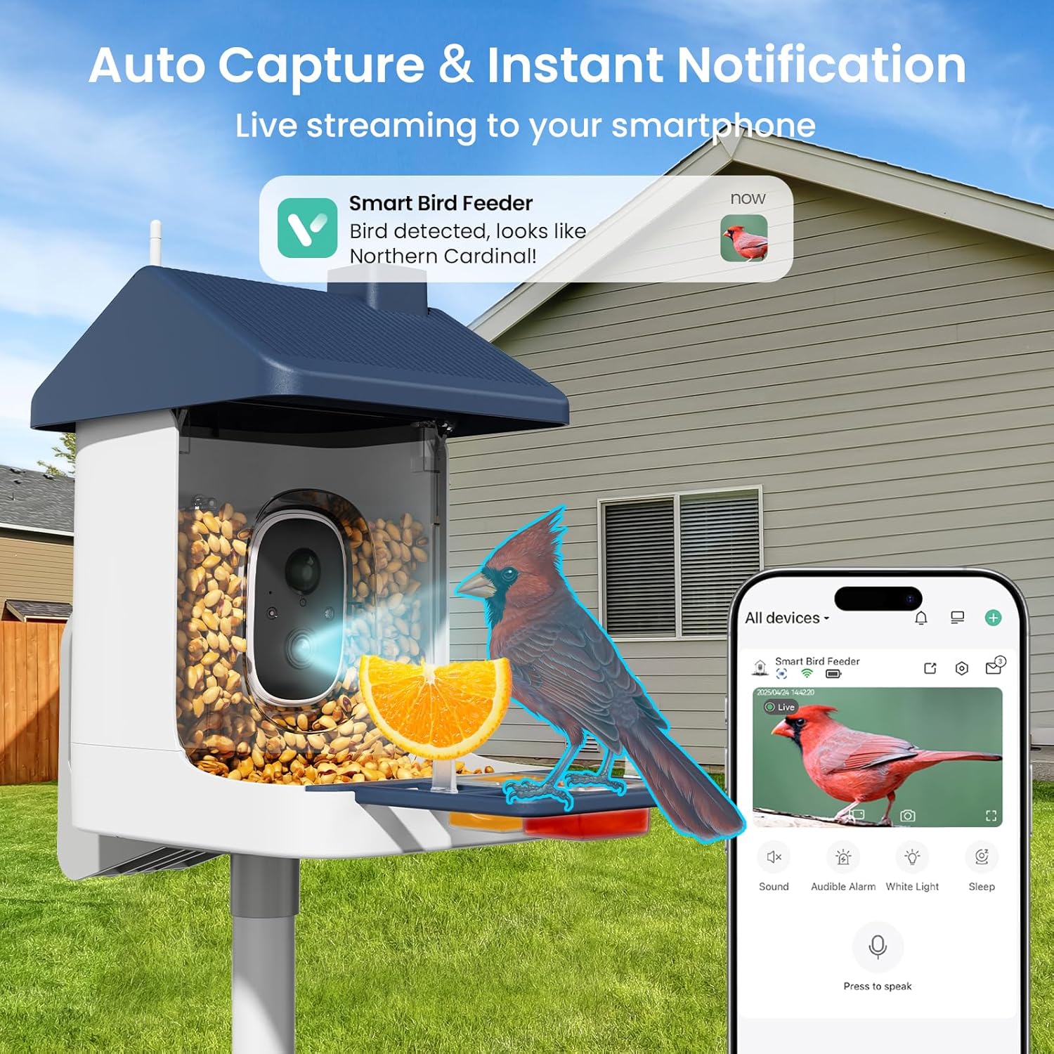 Solar-Powered Smart Bird Feede - Watch Es avis et prix