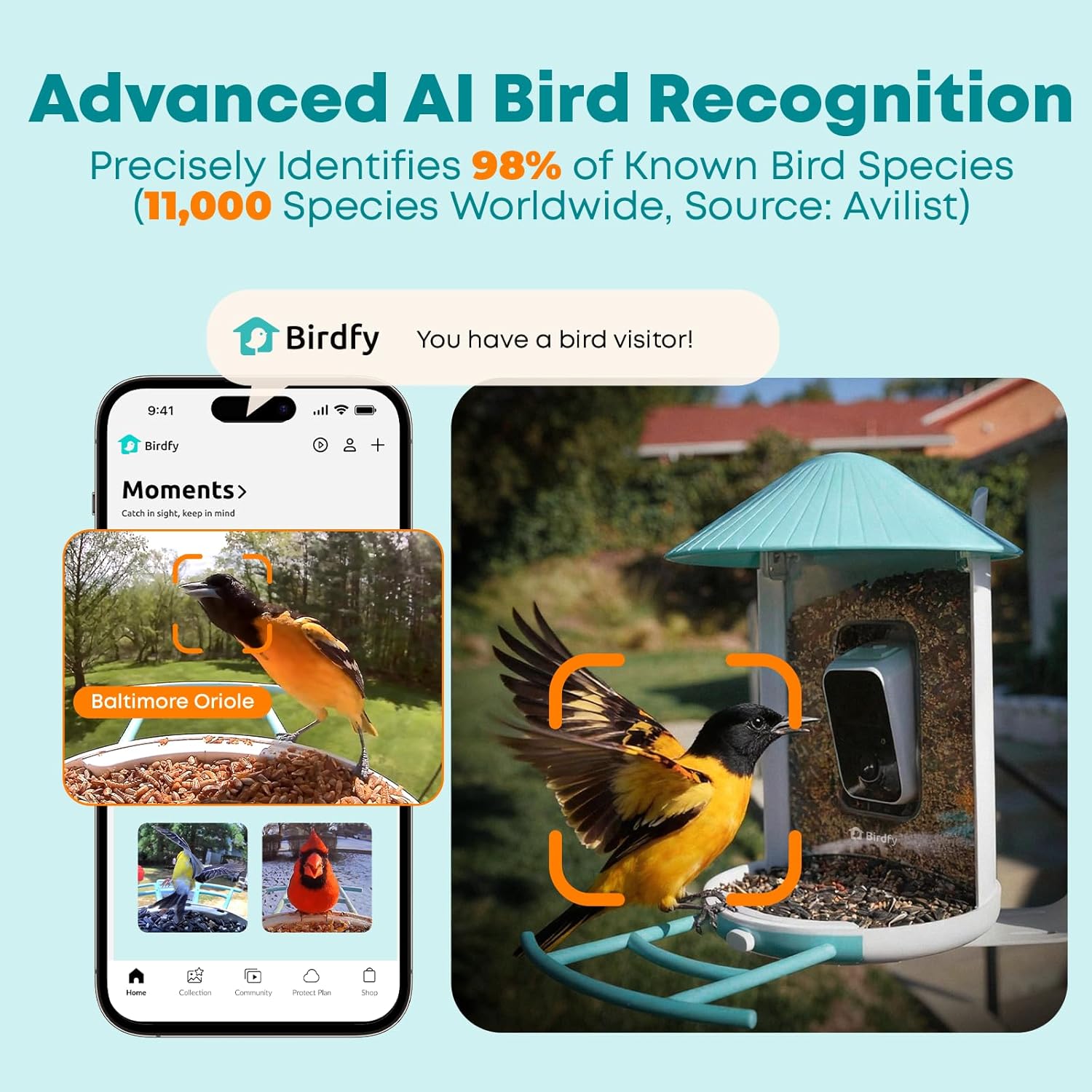 Smart Bird Feeder with AI Came - Watch Es avis et prix