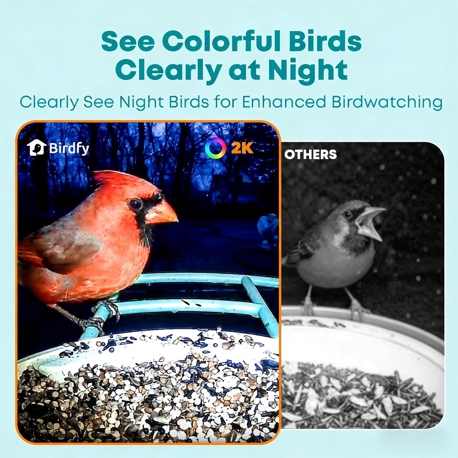 Smart Bird Feeder with AI Came - Watch Es avis et prix
