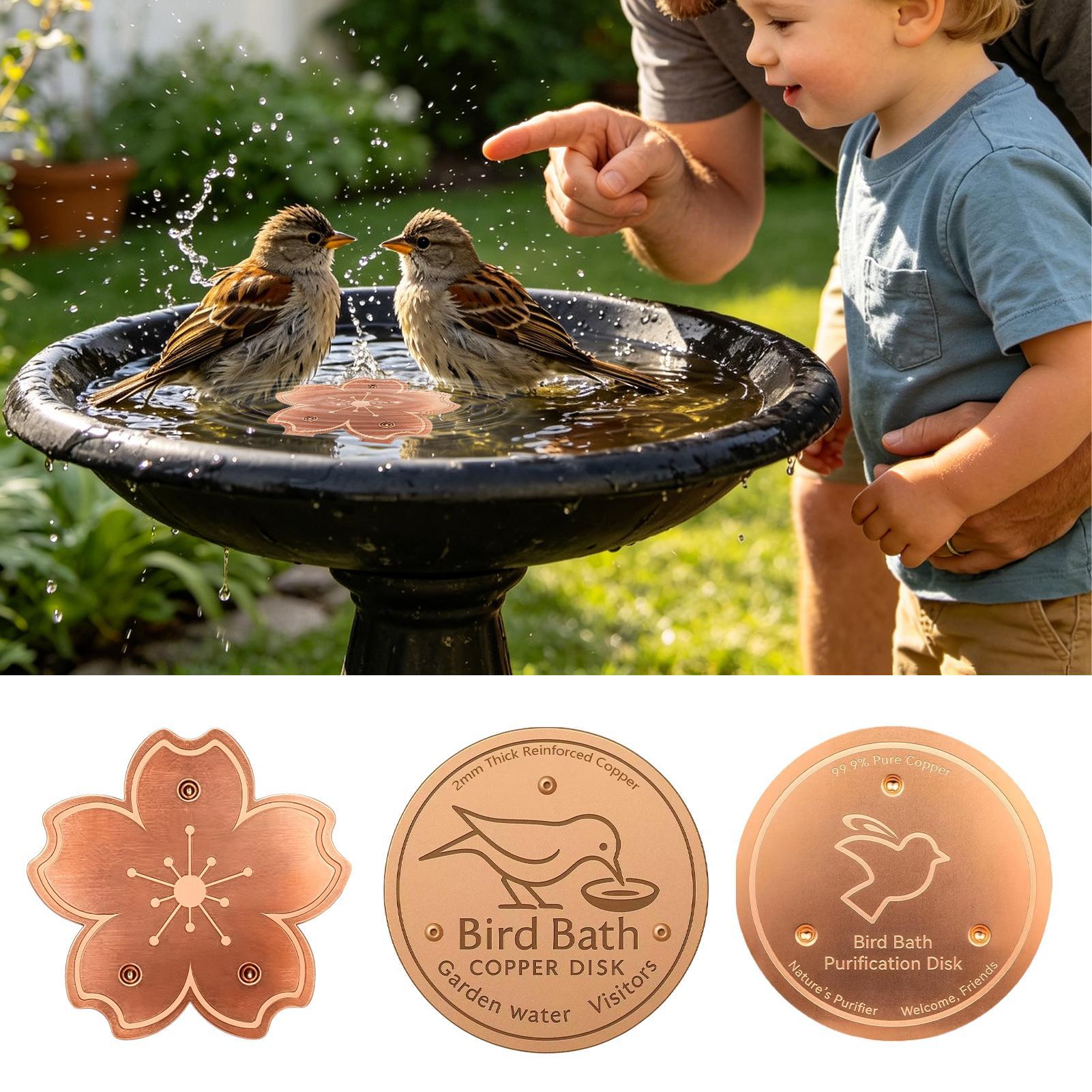 Copper For Bird Bath Safe Puri - Watch Es avis et prix