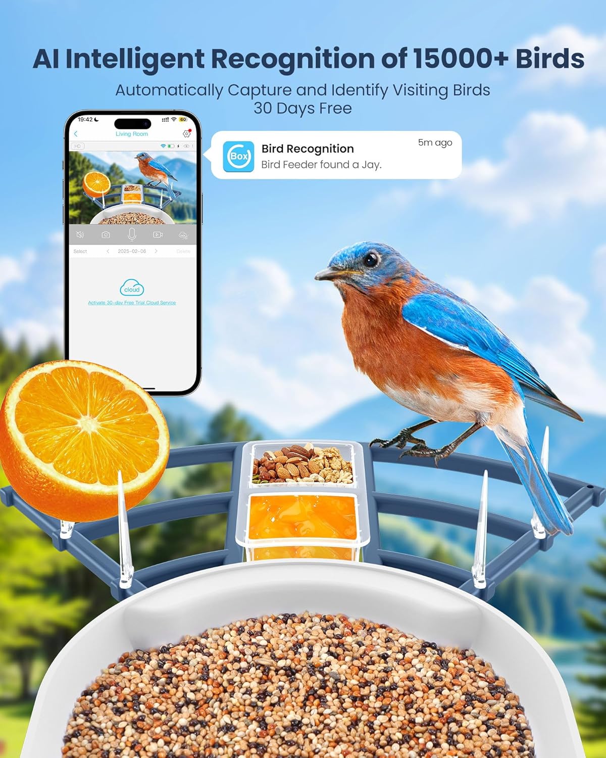 Smart Bird Feeder with Camera, - Watch Es avis et prix