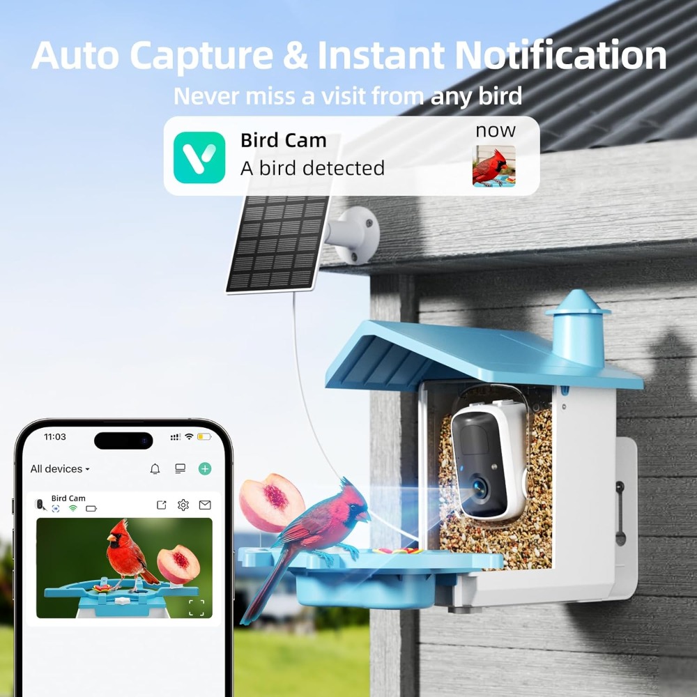 Bird Feeder with Camera for Ou - Watch Es avis et prix