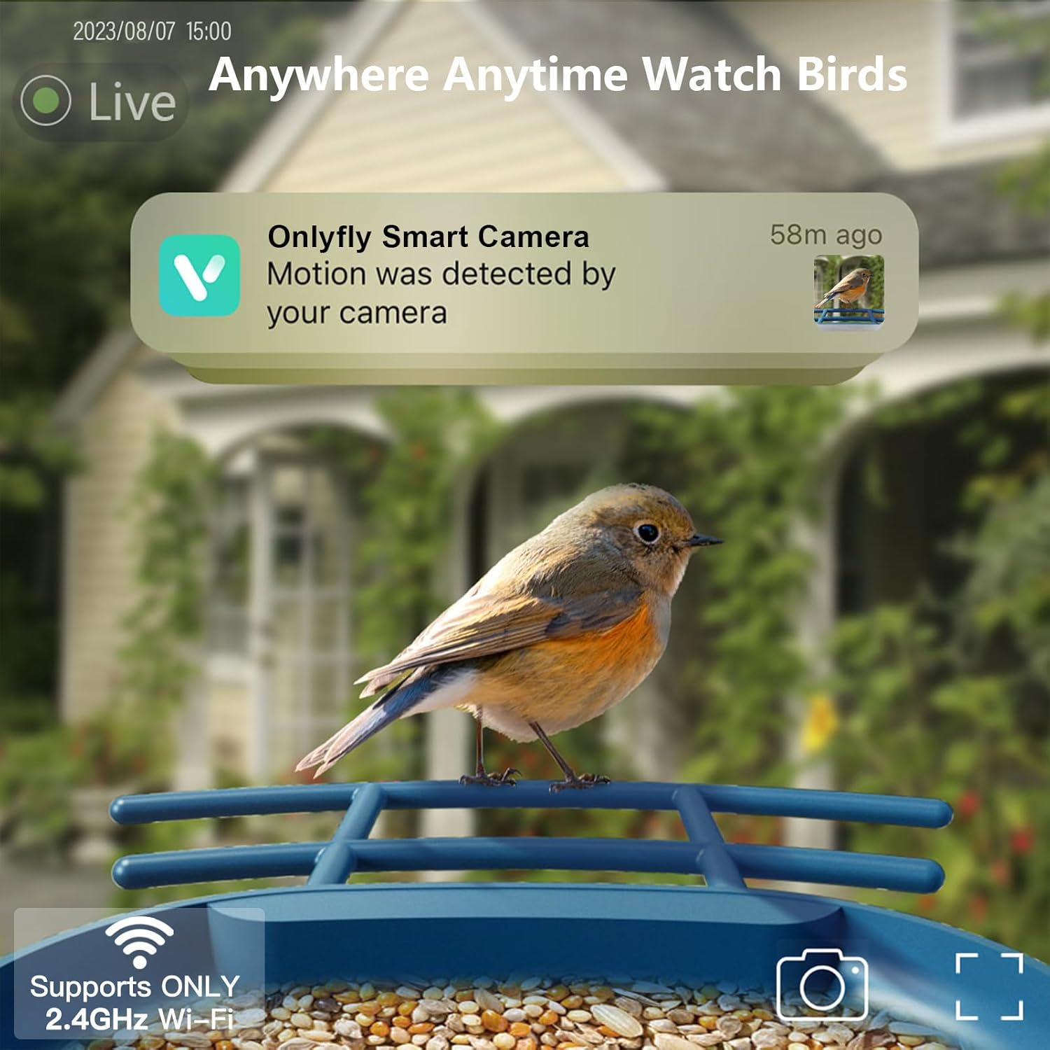 Solar Bird Feeder with 2K Came - Watch Es avis et prix