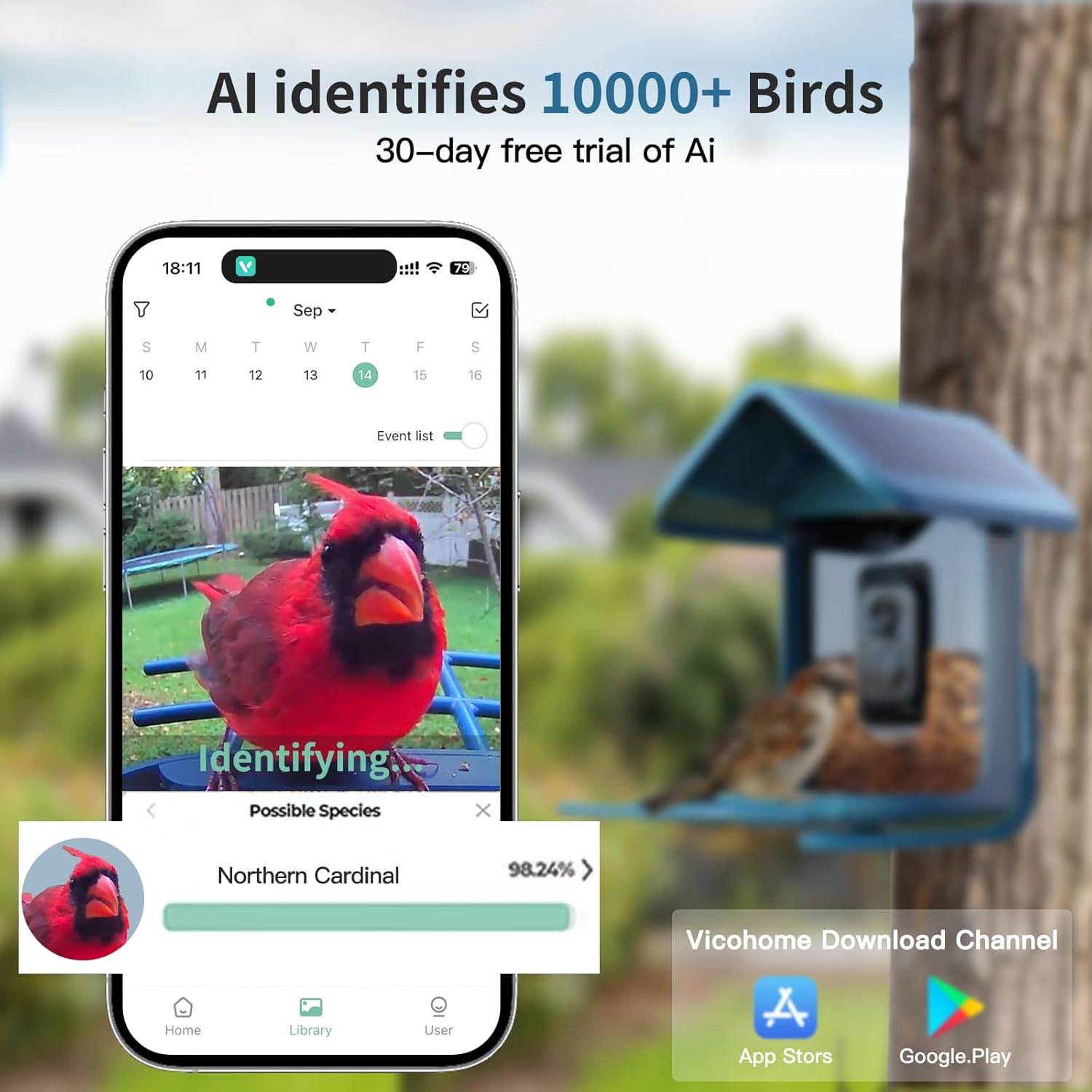 Solar Bird Feeder with 2K Came - Watch Es avis et prix