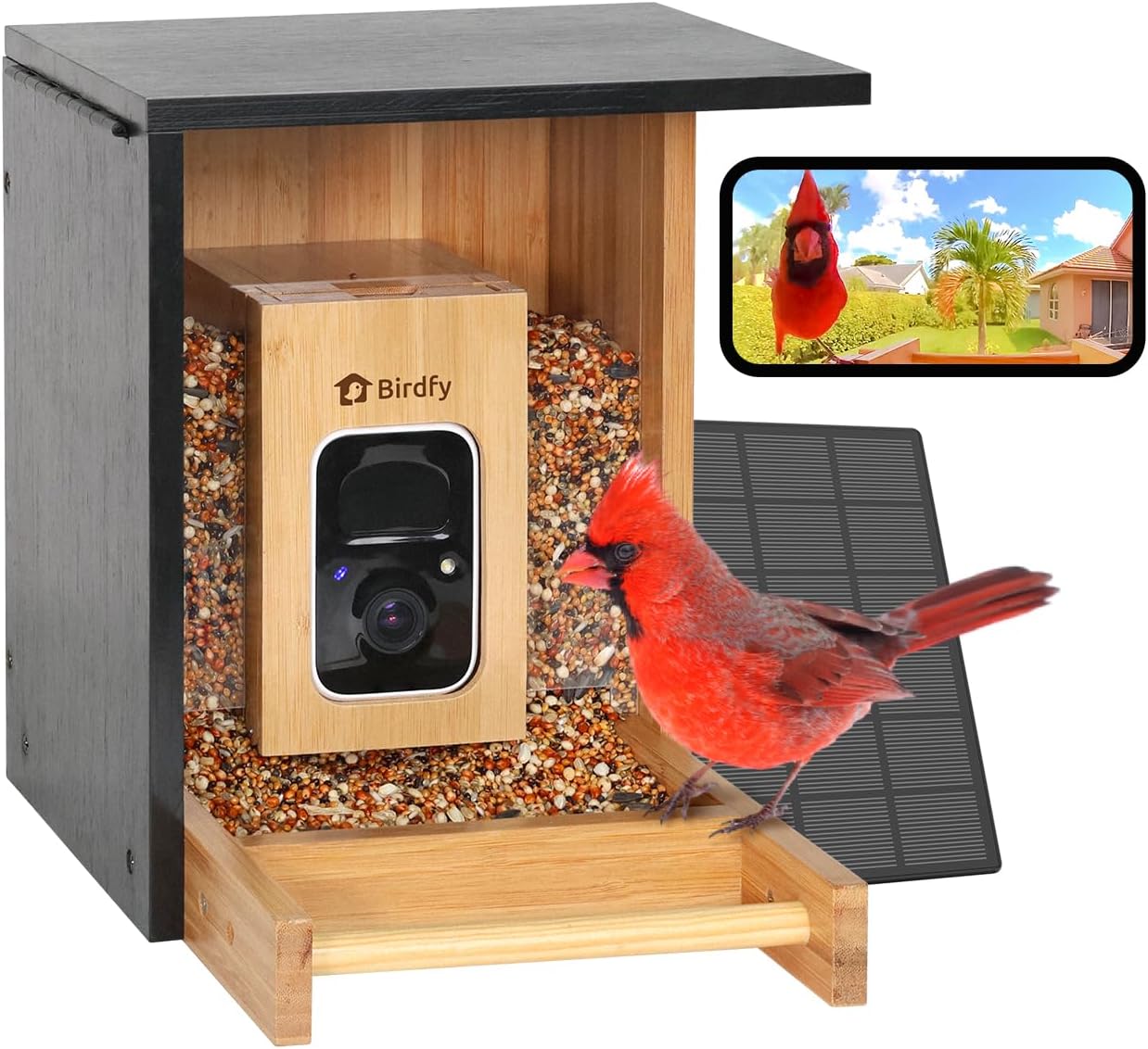 Smart Bird Feeder with Camera, - Watch Smartwatch avis et prix